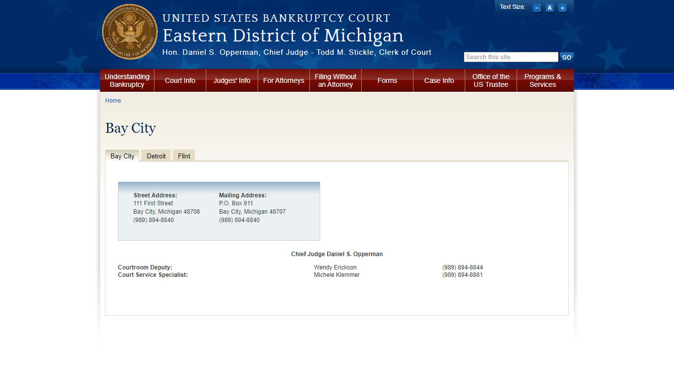 Bay City | Eastern District of Michigan | United States Bankruptcy Court